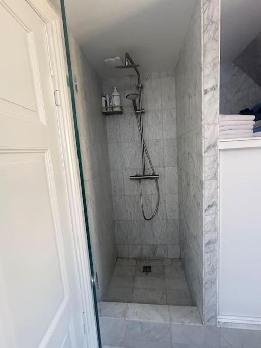Apartment Kings Apt, Doublex W Water View & Private Terrasse Copenhagen