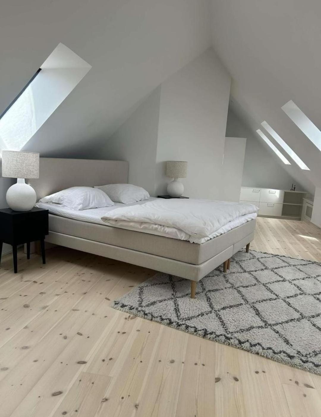 Kings Apt, Doublex W Water View & Private Terrasse * Copenhagen